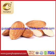 Good Quality and New Crop Almonds Without Shell